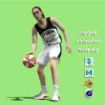 3D Rigged Breanna Stewart WNBA