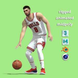 3D Zach La Vine Chicago Bulls NBA