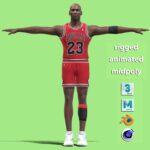 T-P Rigged Michael Jordan Chicago Bulls NBA