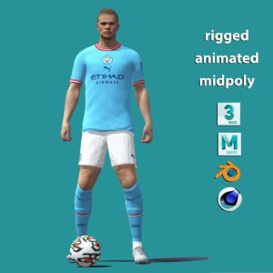 3D Rigged Erling Haaland Manchester City - Basic