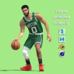 3D Rigged Jayson Tatum Boston Celtics NBA