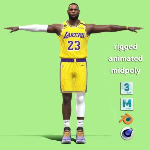 T-P Rigged Lebron James Los Angeles Lakers NBA