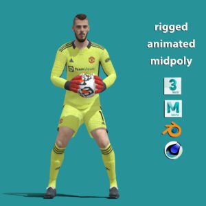 3D Rigged David De Gea Manchester United