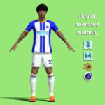 T-P Rigged Mitoma Kaoru Brighton & Hove Albion