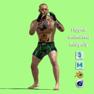 3D Rigged Conor Mcgregor UFC