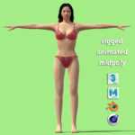 T-P Rigged Bikini Girl