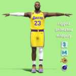 T-P Rigged Lebron James Los Angeles Lakers NBA