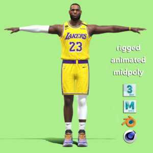 T-P Rigged Lebron James Los Angeles Lakers NBA