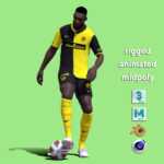 3D Rigged Theoson Siebatcheu Young Boys