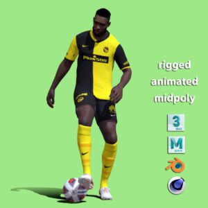 3D Rigged Theoson Siebatcheu Young Boys