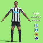 T-P Rigged Miguel Almiron Newcastle United