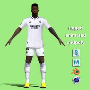 T-P Rigged Vinicius Real Madrid 2023