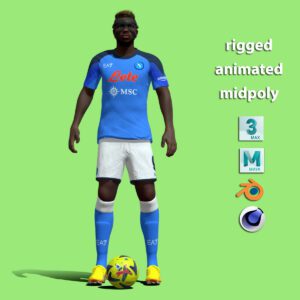 3D Rigged Victor Osimhen Napoli