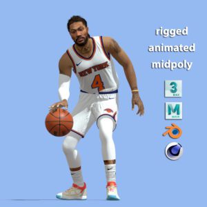 3D Rigged Derrick Rose New York Knicks NBA