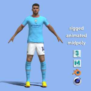 T-P Rigged Laporte Manchester City