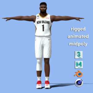Home 18 T-Pose Zion Williamson New Orleans NBA