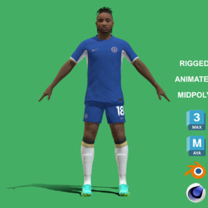3D Rigged Christopher Nkunku Chelsea 2024