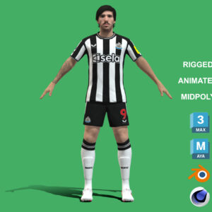 3D Rigged Sandro Tonali Newcastle United 2024
