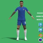 3D Rigged Enzo Fernandez Chelsea 2024