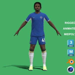 3D Rigged Romeo Lavia Chelsea 2024