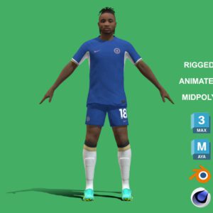 3D Rigged Christopher Nkunku Chelsea 2024