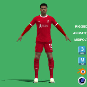 3D Rigged Cody Gakpo Liverpool 2024