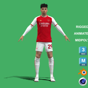 3D Rigged Kai Havertz Arsenal 2024