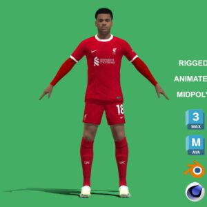 3D Rigged Cody Gakpo Liverpool 2024