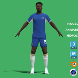 3D Rigged Nicolas Jackson Chelsea 2024