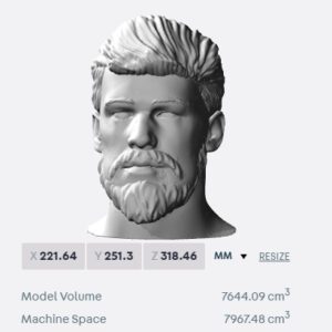 Alisson Becker bust for 3D printing