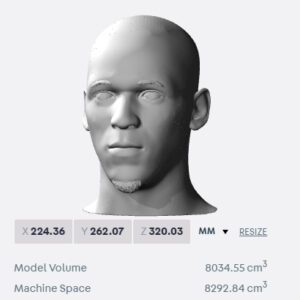 Fabinho bust for 3D printing