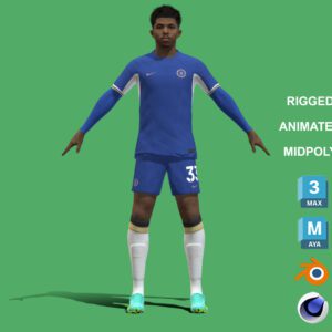 3D Rigged Wesley Fofana Chelsea 2024