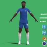 3D Rigged Nicolas Jackson Chelsea 2024