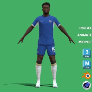 3D Rigged Nicolas Jackson Chelsea 2024