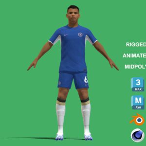 3D Rigged Thiago Silva Chelsea 2024