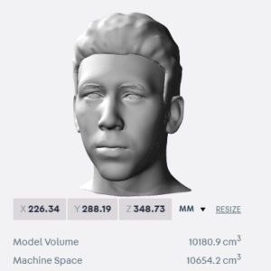 Roberto Firmino bust for 3D printing