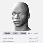 Mane bust for 3D printing