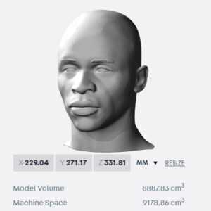 Mane bust for 3D printing