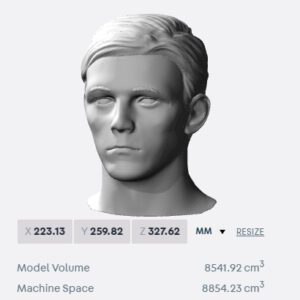 Andrew Robertson bust for 3D printing
