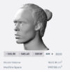 Van Dijk bust for 3D printing