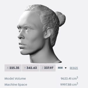 Van Dijk bust for 3D printing