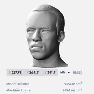Wijnaldum bust for 3D printing