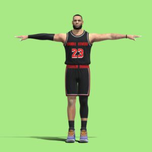 T-Pose custom Lebron James NBA