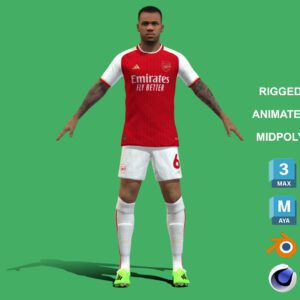 3D Rigged Gabriel Magalhaes Arsenal 2024