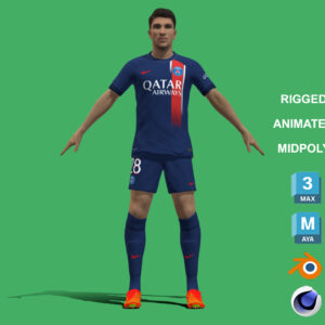 Home 20 3D Rigged Carlos Soler PSG 2024