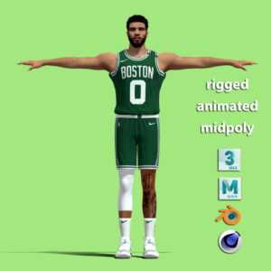 T-Pose Rigged Jayson Tatum Boston Celtics NBA