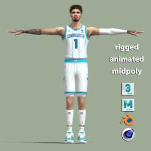 T-Pose Rigged LaMelo Ball Charlotte Hornets
