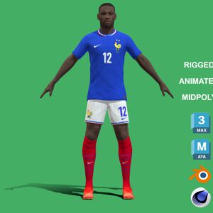 3D Rigged Randal Kolo Muani France Euro 2024