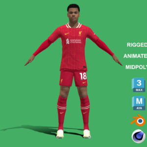 Home 27 3D Rigged Cody Gakpo Liverpool 2025
