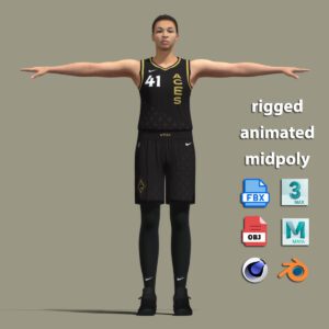 T-P Rigged Kiah Stokes Las Vegas Aces